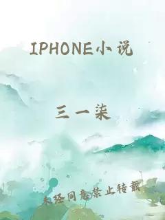 IPHONE小说